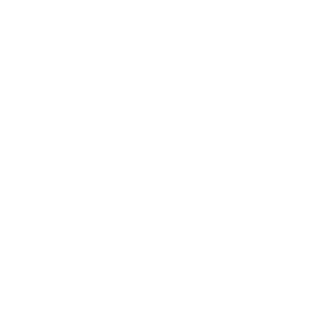 ASP + Partners logo
